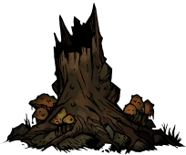 03We-06-Old Tree.png